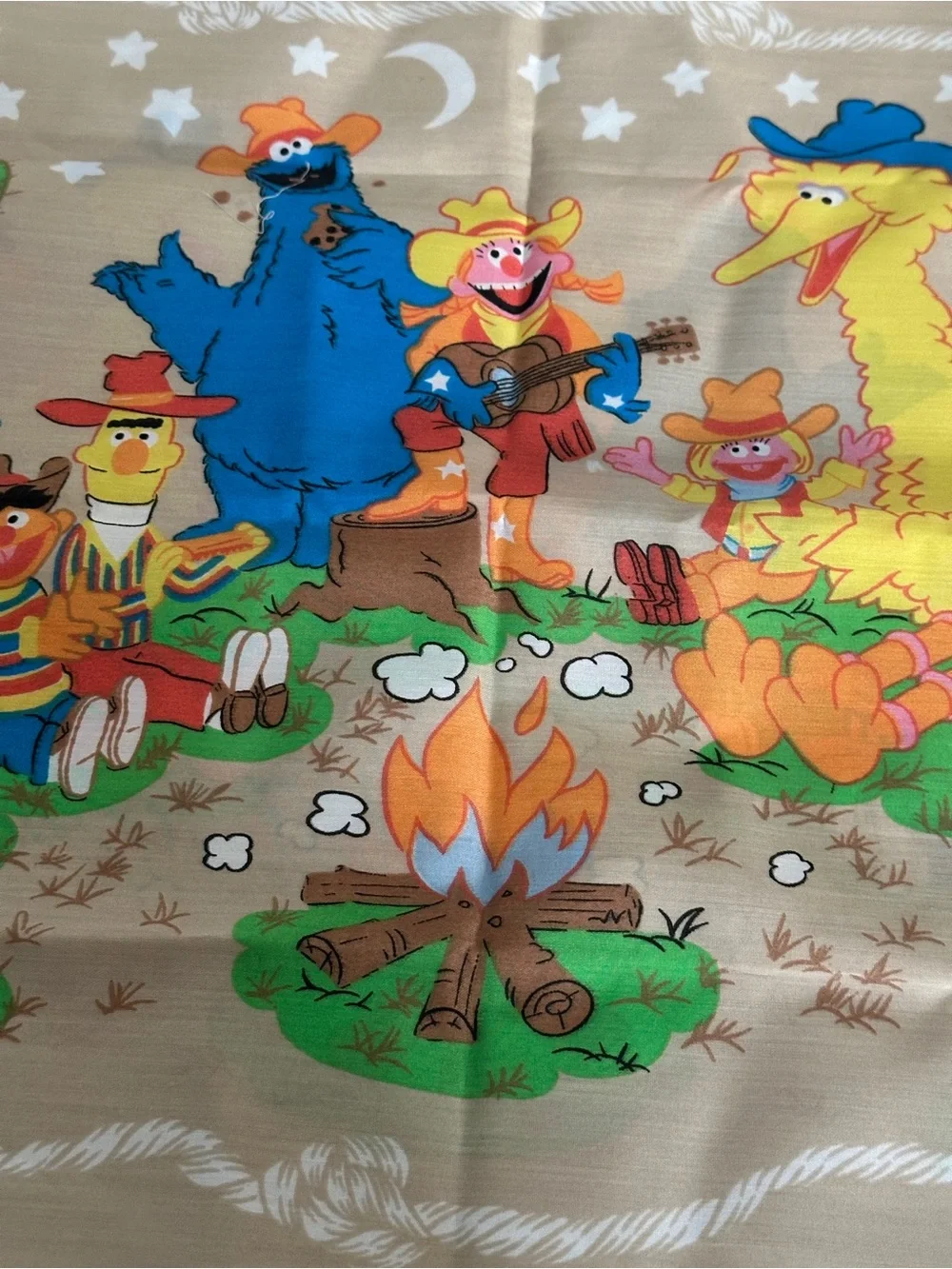 Vtg Sesame Street PILLOWCASE ONLY Big Bird Cookie Monster Ernie Camping Country